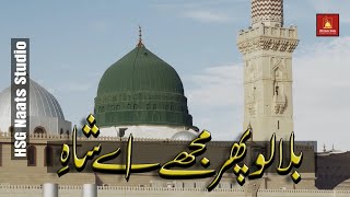 Bulalo Pir Mujhe Supper Hit Naat Hassan Ali Official Beautiful Naat 2024 Official Audio Version [upl. by Land657]