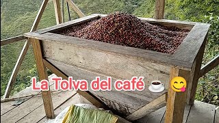 La tolva del cafe [upl. by Dollar]