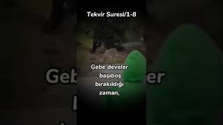 Tekvir Suresi 18 Ayetler [upl. by Jenesia239]