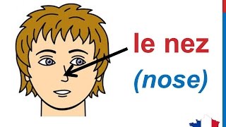 French Lesson 30  FACE BODY VOCABULARY  Le visage Parts of the head Partes del cuerpo en francés [upl. by Torray]