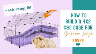 How to Build a 4x2 CampC Cage with a Loft Ramp and Lid [upl. by Aniratac]