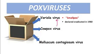 Poxvirus Smallpox Molluscum contagiosum [upl. by Sucram]