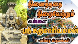 Devi Sri Karumaari amman  Thiruverkadu  Temple history in Tamil  SRI VISHNU JOTHIDAM [upl. by Gillmore]