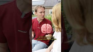 Hebben MANNEN een GROTER brein🧠🧐🤔 explainer leren brein man vrouw slim wow [upl. by Britney]