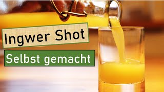 Ingwer Shot ganz leicht selber machen 😋 Immunsystem stärken 💪 Fit durch den Winter 💚 Saatenvielfalt [upl. by Ocnarf292]