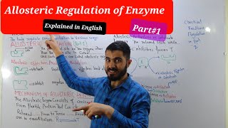 Allosteric Regulation and Mechanism  Enzyme Regulation Biochemistry Enzymology [upl. by Assillam]