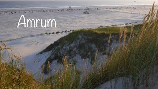 Amrum  Der Süddorfer Strand [upl. by Arron]