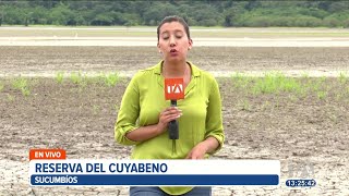 La laguna más grande de la reserva de cuyabeno está completamente seca [upl. by Hcire]