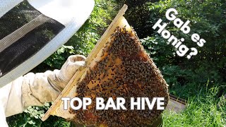 Bringt der Top Bar Hive Honig [upl. by Chip113]