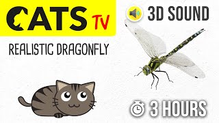 CATS TV  Realistic Dragonfly  3 HOURS Entertainment Video for Cats amp Dogs to Watch [upl. by Bravar592]