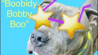 “Boobidy Bobby Boo”  You Can’t Funk With The Bobby [upl. by Bibi648]