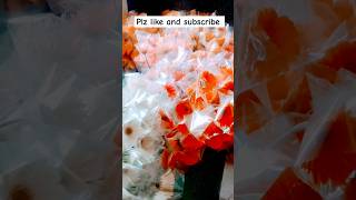 Flowers pecking bocket music bollywood song flowers [upl. by Enelegna]