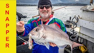 Sydney Snapper fishingMixed Bag on the ReefSnapperBlue GroperMorwong [upl. by Creight]