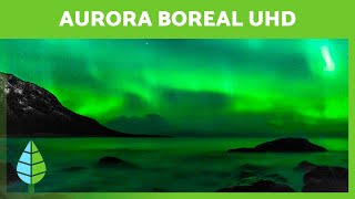 AURORA BOREAL em 4K com Música Relaxante 🌌 Vídeos em Ultra HD [upl. by Ellicott632]