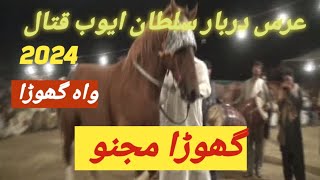 top dancing horsemarvin the tapdancing horsehorse punjab rang [upl. by Itin]