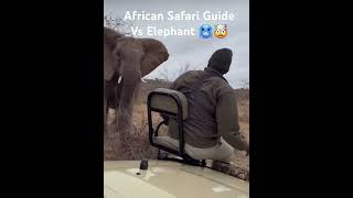 African Safari Guide Vs Elephant 🥶🤯 viralshorts elephant [upl. by Enenaej]