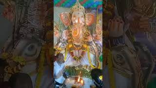 Vinayaka chavithi festival on 07092024 [upl. by Ahsemo]