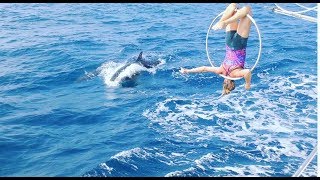 Hanging from a Sail Boat SAILING with DOLPHINS Episode 55 Sailing Catalpa [upl. by Lansing]