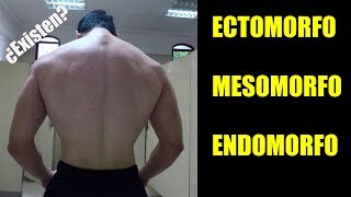 SOMATOTIPOS ¿En Verdad Existen Examinando al Endomorfo Mesomorfo y Ectomorfo PODCAST Ep3 [upl. by Milicent]