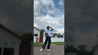 Best afro dance 2024 dance afrodancegig danceclips dancer afrodancer dancevideos afrodance1 [upl. by Ange820]