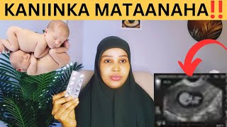 WAXAAN ISTICMAALAY KANIINKA🤰UURKA MATAANAHA LAGU YEESHO KADIB MAXAA IGU DHACAY [upl. by Idissak]