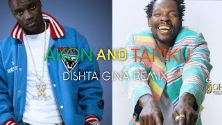 Dishta gina  Remix  Akon amp Tariku Lyrics  Ahadu music translation [upl. by Hukill]