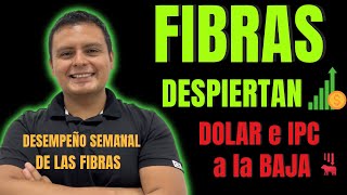 Fibra Uno FUNO11 y Fibra Monterrey FMTY14 Repuntan  Dolar e IPC a la Baja  Desempeño FIBRAS [upl. by Suellen274]