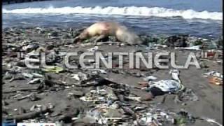 CONTAMINACION CHIMBOTE  wwwrevistachimbotenewscom [upl. by Drofniw]