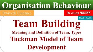 Team Building in organisational behaviour Tuckman Model of Team Development process of team build [upl. by Annohsat189]