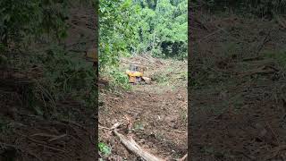 D6R XL Bulldozer Tactics for Efficient Land Clearing dozers [upl. by Ginnie]