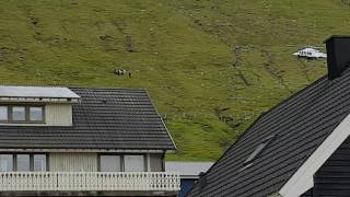 Helicopter Rescue in Norđragøta Faroe Islands [upl. by Auberon]