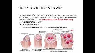 HISTOLOGIA Y EMBRIOLOGIA DE LA PLACENTA Y MEMBRANAS [upl. by Amarette]