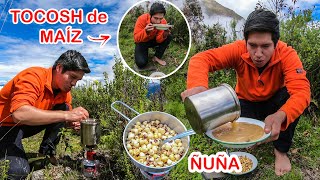 DESAYUNO un SALUDABLE y NUTRITIVO TOCOSH de MAÍZ con ÑUÑA [upl. by Veradia]