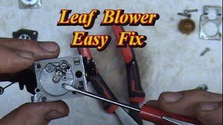 ECHO Blower Wont Start quotEasy Fixquot Carb kit Fuel Lines Primer Bulb Tuneup [upl. by Baelbeer292]