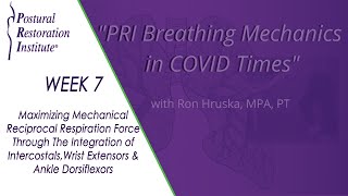 PRI Breathing Mechanics in COVID Times Week 7 [upl. by Sordnaxela]