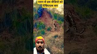 Tiger Insan ka video shorts [upl. by Halil]