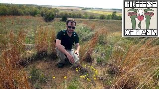 Exploring a Sand Prairie [upl. by Htims529]