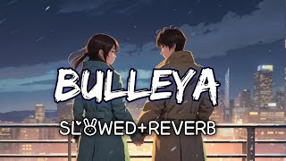 Bulleya Sultan SlowReverb  Salman Khan Anushka Sharma  Papon  Princess Lofi [upl. by Hermia473]