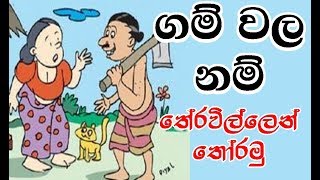 ගම් වල නම් තේරවිලි වලින් තෝරමු  Sinhala Thun Theravili Volume 7 [upl. by Purcell]