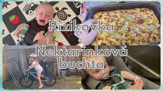 Do rizikové poradny nektarinková buchta  Vlog [upl. by Atival940]