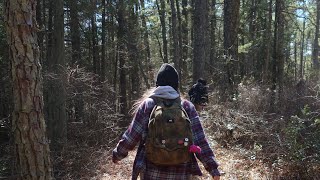 hiking in the pine barrens [upl. by Yluj]