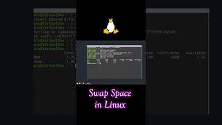 Swap Space in Linux linux swap [upl. by Aneeb]