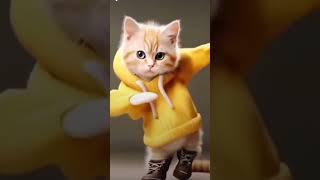 viral dusto kokil dance shorts trending funny dance cat [upl. by Ahsotan]