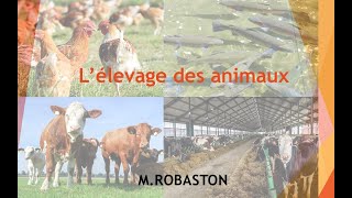 6ème Lélevage des animaux SVT [upl. by Swen]