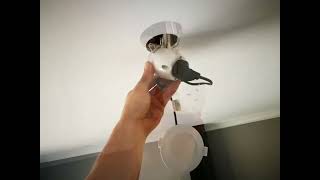 LED Downlight installation and replacement [upl. by Idahs]