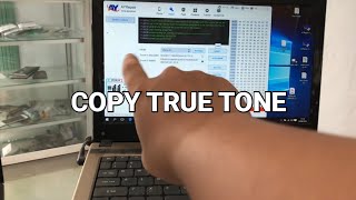 CARA COPY TRUE TONE IPHONE XR [upl. by Anika417]