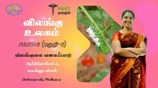 Animal Kingdom  Part 6 Classification of Animals  Arthropoda  Mollusca  NEET Tamil [upl. by Seltzer88]