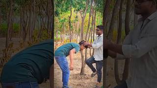 South Movie Fight Scene 👊southmovie ytshorts ytshortsindia shortvideos shortvideo [upl. by Shaw]