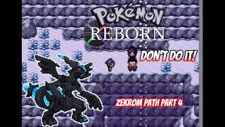 SHES GONNA KILL HIM Pokemon Reborn Zekrom Route part 4 [upl. by Kee]