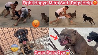 Mare Sath Ladai Hogye😨Dogs Ko Sath Le Gya😡 Coco Fass Gye😨 Chota Simba Ko Chot Lag Gye😢 [upl. by Ardnu735]